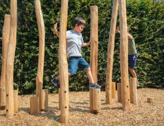 echasses en robinier (12 poteaux) - 3/12 ans