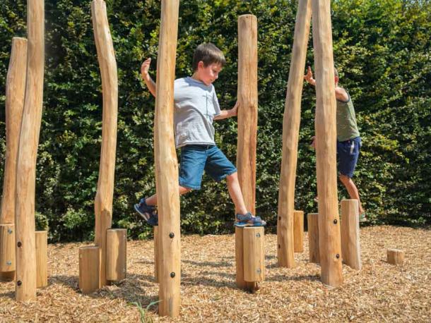 echasses en robinier (12 poteaux) - 3/12 ans