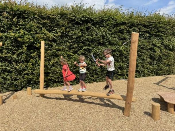 parcours zoo - poutre d'equilibre rhinoceros en robinier - 4/15 ans