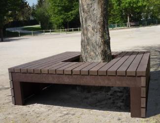 entourage d'arbre emergence junior