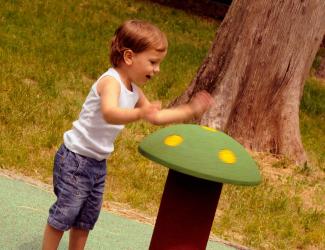 champignon tourniquet ambre