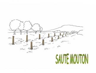 parcours sportif - saute mouton 16 plots