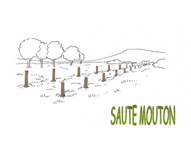 parcours sportif - saute mouton 16 plots