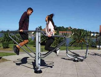 fitness barre paralleles