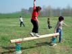 PARCOURS AVENTURE ECO / POUTRE RESSORTS DOLLY - BOIS - 3/12 ANS