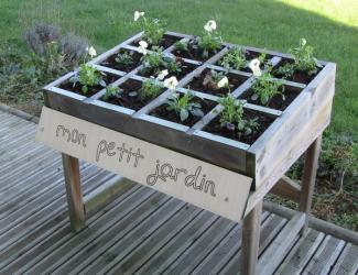 table de culture mon petit jardin