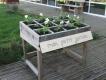 TABLE DE CULTURE MON PETIT JARDIN