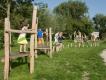 PARCOURS D'EQUILIBRE - PAS DE GEANTS - 4/12 ANS