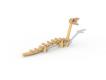 PARCOURS ZOO - PONT D'EQUILIBRE DRAGON EN ROBINIER - 4/15 ANS